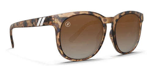 Tropical Current - Tortoise
