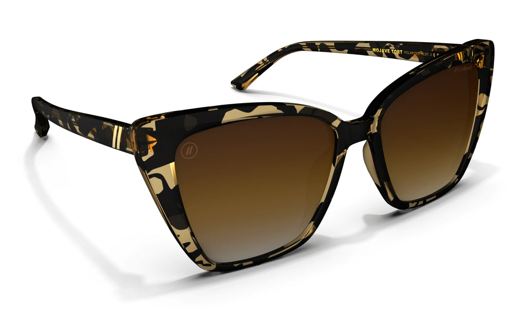 Mojave Tort 4